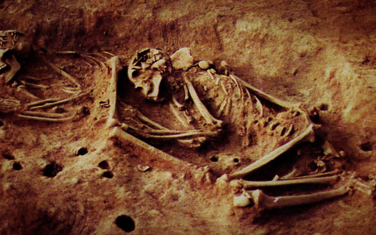  El ADN antiguo en Bogotá revela el linaje humano perdido hace 6,000 años y un reemplazo completo de la población, más

 – Panorama 24