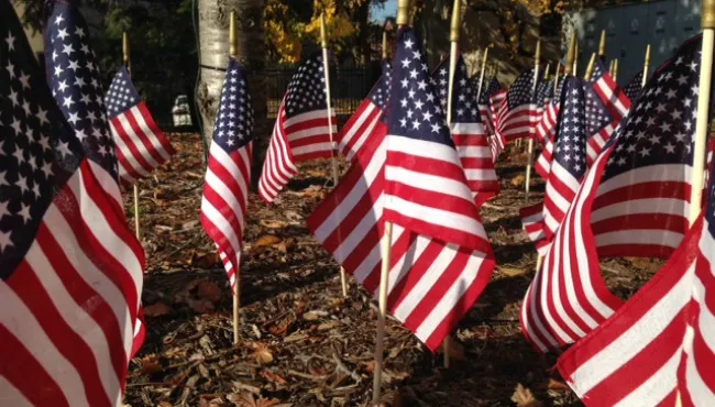  Memorial Day: Historia y significado del día caído

 – Panorama 24