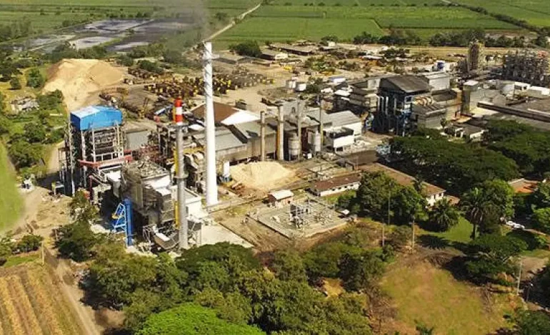  Riopaila Castilla apuesta por la «confirmación» sostenible como instrumento para apoyar a sus proveedores

 – Panorama 24