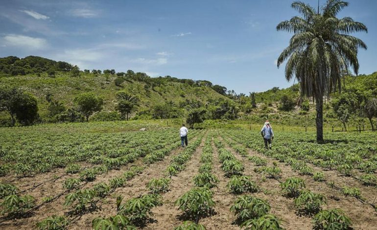  82 municipios en los que la tierra debe informar al gobierno si venden la primera oferta

 – Panorama 24