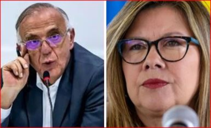  Las hojas de la ONU en defensa de Iván Velásquez y Luz Adriana Camargo después de la orden de arresto

 – Panorama 24