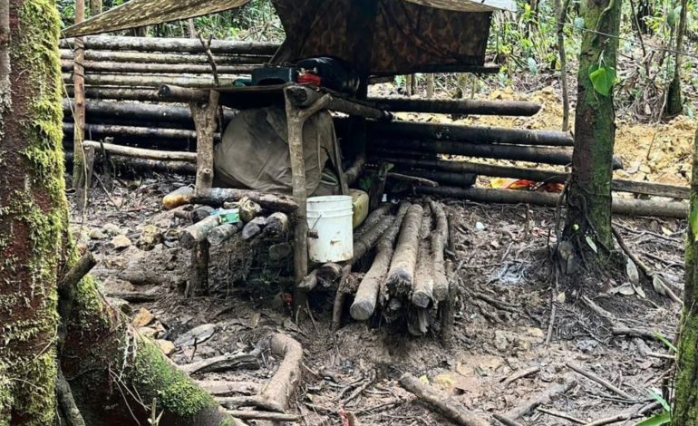  El ejército destruye el campamento de una de las estructuras de la mordedura de alias Iván.

 – Panorama 24