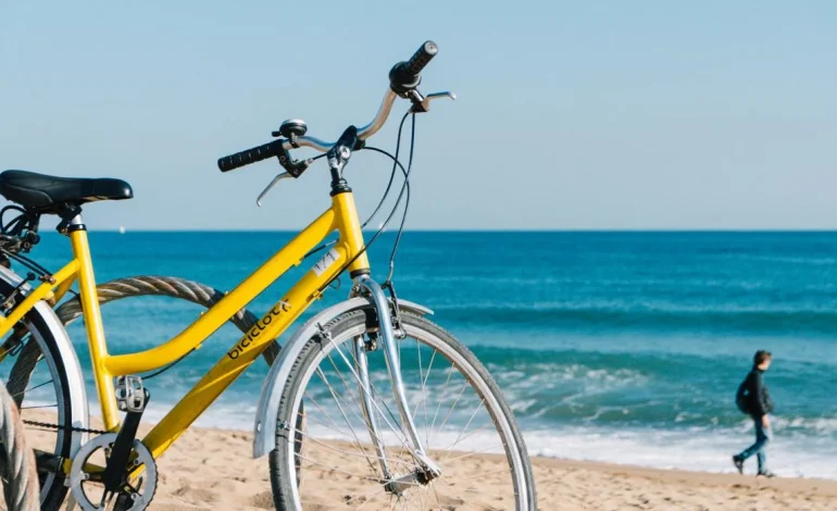  Día mundial de la bicicleta: un impulso hacia la movilidad sostenible

 – Panorama 24