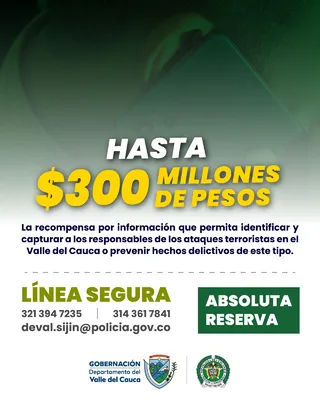  El Gobierno del Valle tiene una recompensa de $ 300 millones

 – Panorama 24