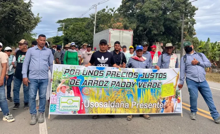  Medidas estructurales necesarias para completar la crisis del arroz y detener las huelgas en Colombia

 – Panorama 24
