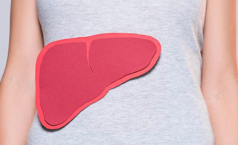  Día del Mundo contra la hepatitis, una fecha para actuar y crear conciencia

 – Panorama 24