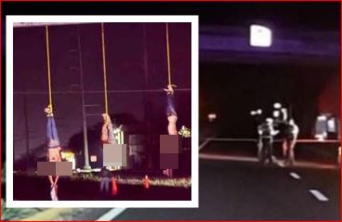  Encuentran 20 cuerpos sin vida y 5 de ellos decapitados

 – Panorama 24