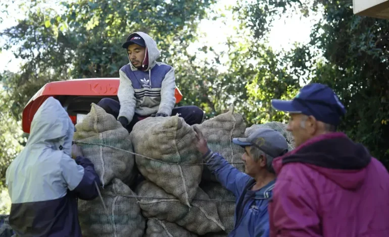  20,000 millones de pesos para la compra de excedentes financieros y facilitaciones

 – Panorama 24