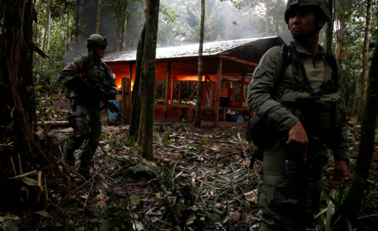  Los vuelos de los agricultores y los esfuerzos de paz llegan a la liberación de los militares celebrados en la jungla – aumento

 – Panorama 24