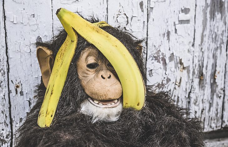  Nano Banana: la apuesta de Google para la inteligencia artificial en miniatura – 

 – Panorama 24
