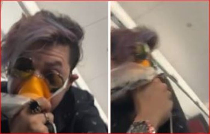  Imágenes como este avión Airbus después de chocar con un buitre

 – Panorama 24