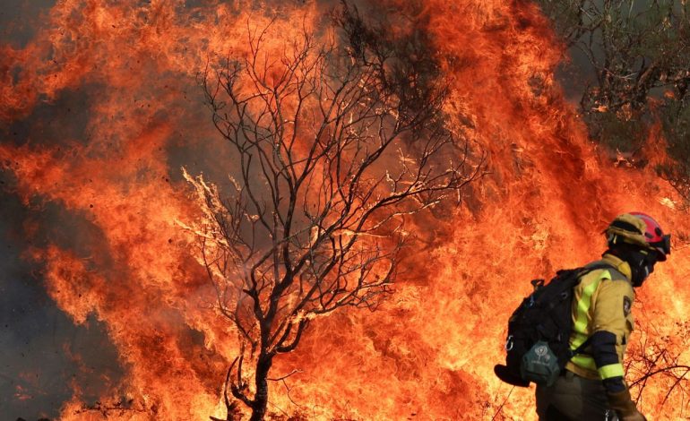  Fuego en España – 

 – Panorama 24