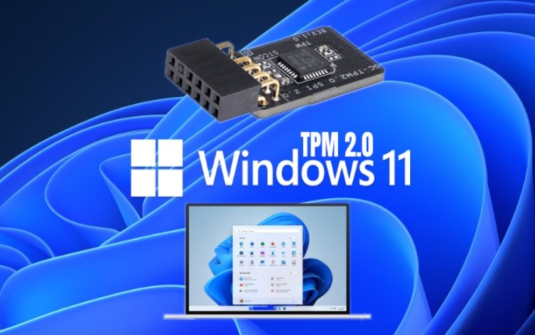  Instale Windows 11 sin el chip TPM o los recuentos de Microsoft: Guía completa 

 – Panorama 24