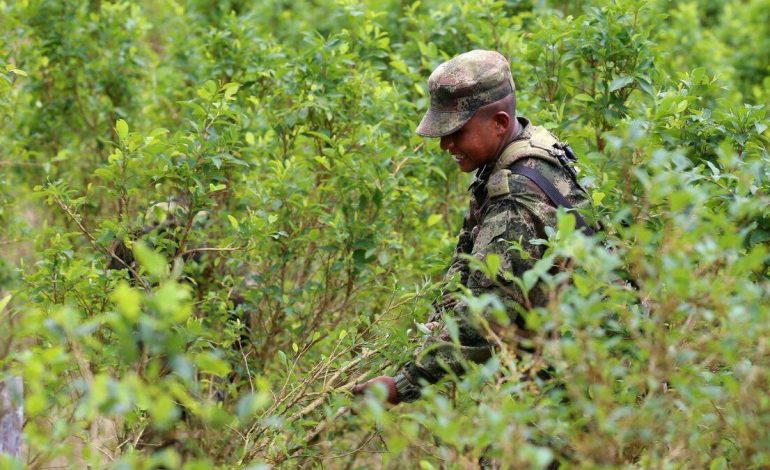  Después de la sisertificación colombiana de nosotros

 – Panorama 24