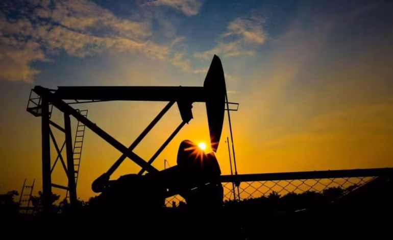  Use el presidente del presidente Gustavo Petro sobre el futuro de la demanda mundial de petróleo

 – Panorama 24