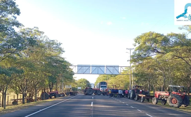  Nidia Hernández, presidente Colfecar

 – Panorama 24
