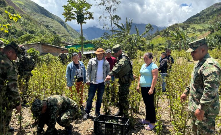  Barreras para controlar las áreas de producción de coque, progreso limitado en la inversión social

 – Panorama 24
