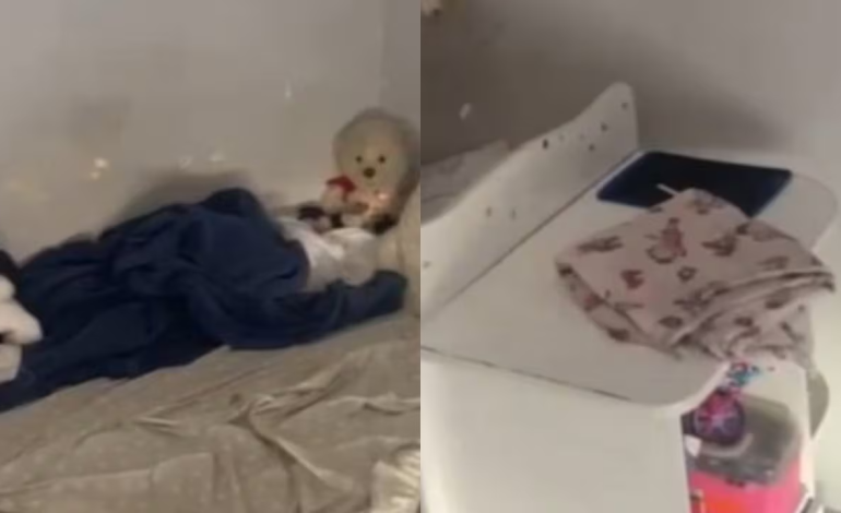  Horror en Brasil: niña de 6 años rescatada después de pasar toda su vida encerrada en una casa en São Paulo

 – Panorama 24