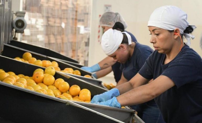  Nuevos permisos retribuidos entrarán en vigor en 2026

 – Panorama 24