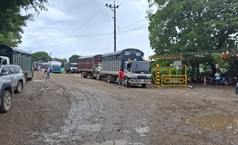  Fenalco demandó al Consejo de Estado por decreto que aumenta costos a transportistas

 – Panorama 24