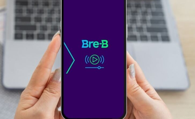  «Los delincuentes atacan al eslabón más débil: el usuario»

 – Panorama 24