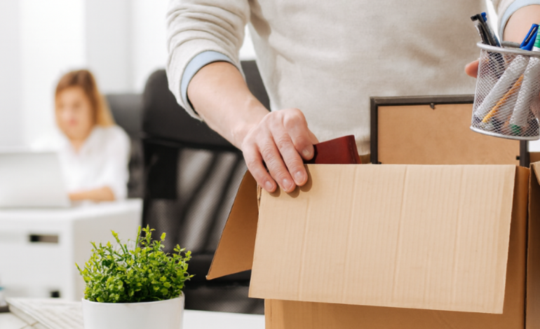  forma de recibir compensación incluso si renuncia voluntariamente

 – Panorama 24