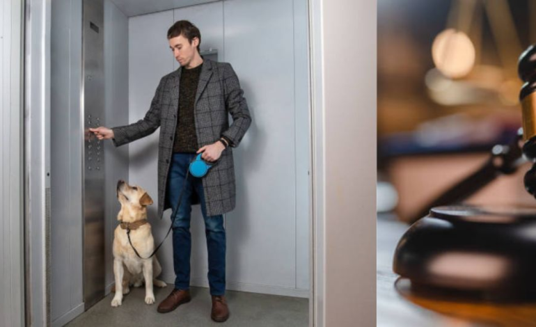  ¿Te pueden multar si llevas a tu mascota en el ascensor del complejo? Eso es lo que dice la ley en Colombia.

 – Panorama 24