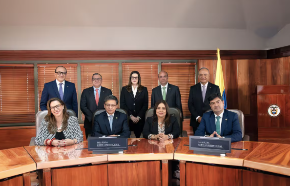  Sin sala llena y sin revisión inmediata: el tribunal explica su decisión en medio de la disputa por la emergencia económica – 

 – Panorama 24