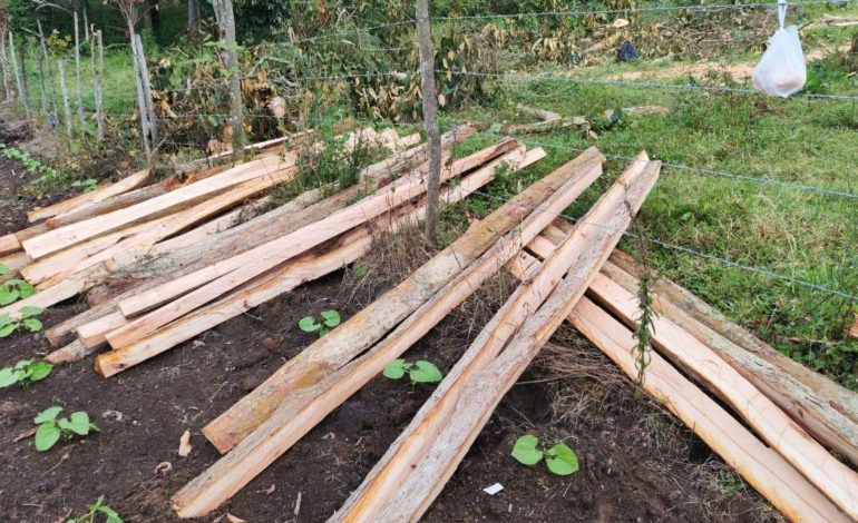  Presentan cargos contra ‘Los Leñadores’

 – Panorama 24