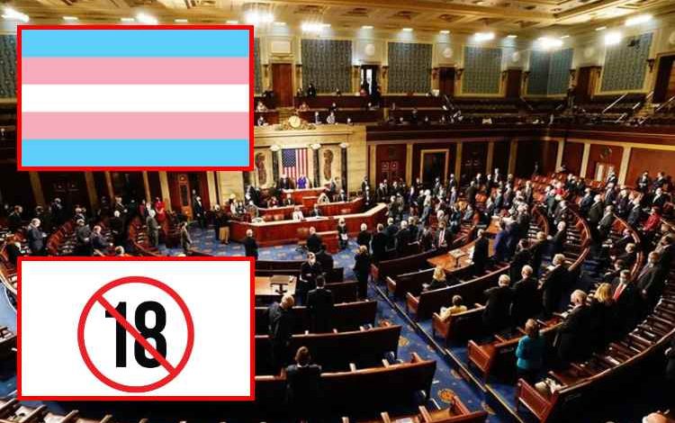  Estados Unidos avanza para prohibir las cirugías trans en menores

 – Panorama 24