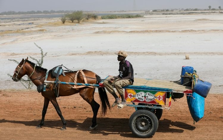  El aumento de la inmigración trae desafíos sociales en municipios del Cauca – 

 – Panorama 24