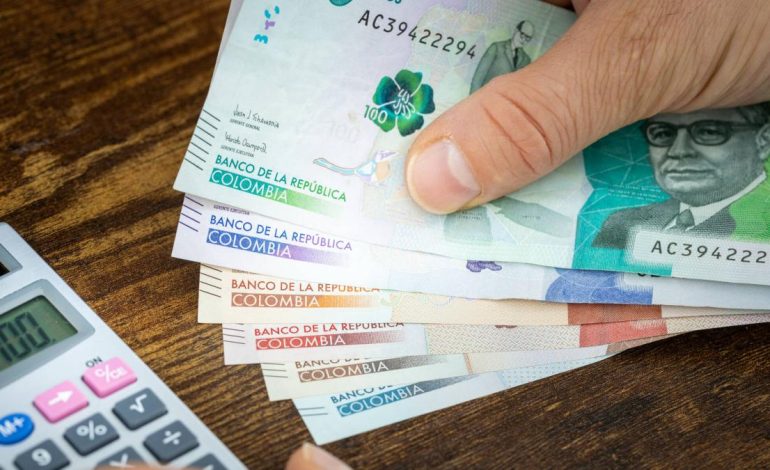  ¿Para qué se utilizaron esos recursos?

 – Panorama 24