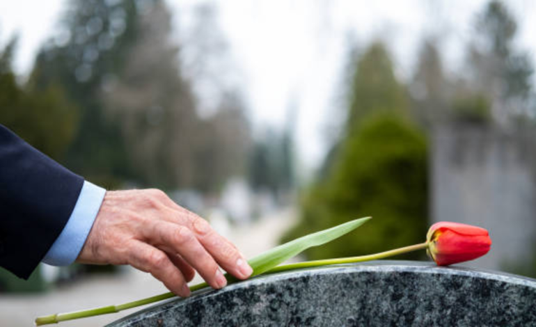  Tras el aumento del salario mínimo en Colombia, así quedó la ayuda funeraria de Colpensiones para 2026.

 – Panorama 24