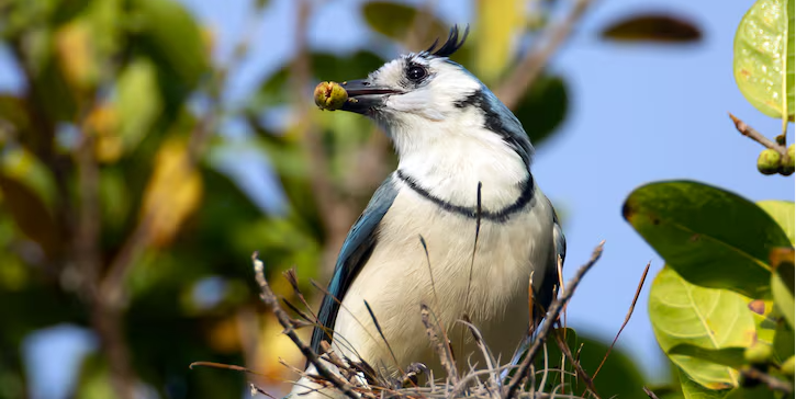  Colombia conquista Fitur 2026 con café, sostenibilidad y experiencias auténticas

 – Panorama 24