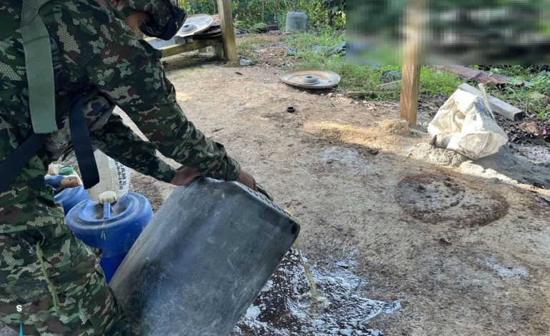  Tropas del Ejército destruyeron tres laboratorios de drogas ilegales del ELN

 – Panorama 24