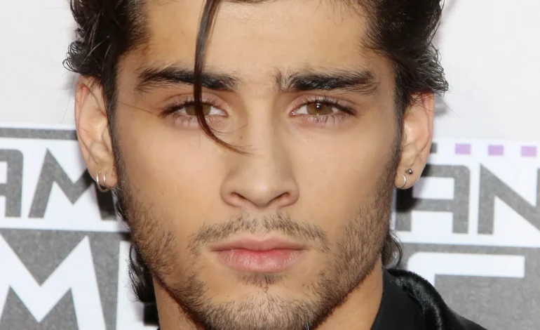  Zayn confirma gira mundial y fans están emocionados 

 – Panorama 24