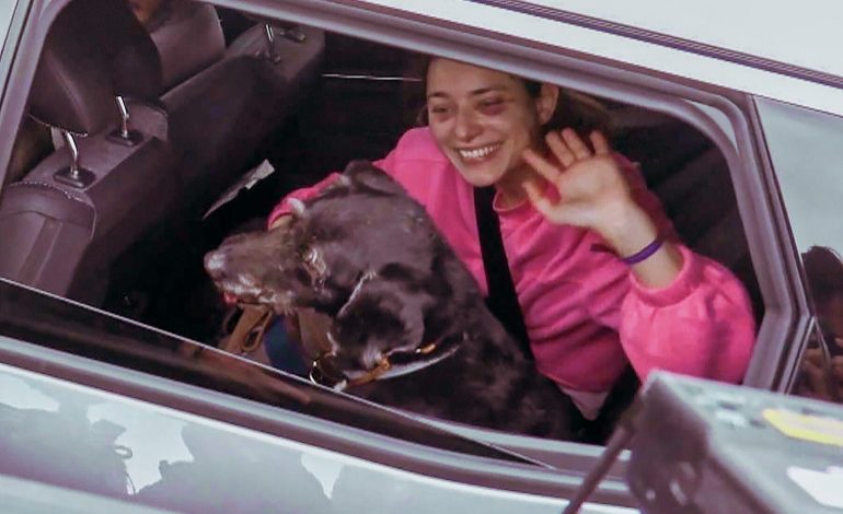  Boro, el perro que volvió a casa tras el accidente de tren en España

 – Panorama 24