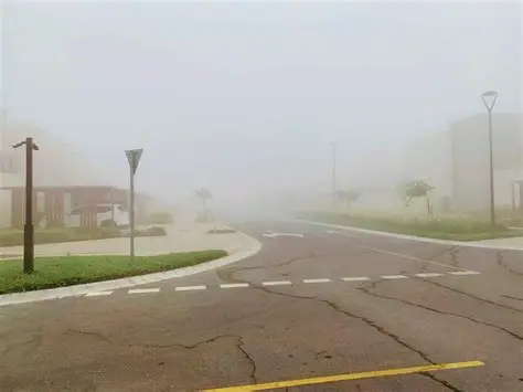  Una niebla extremadamente densa paraliza zonas de Dubái y la costa de los Emiratos Árabes Unidos

 – Panorama 24