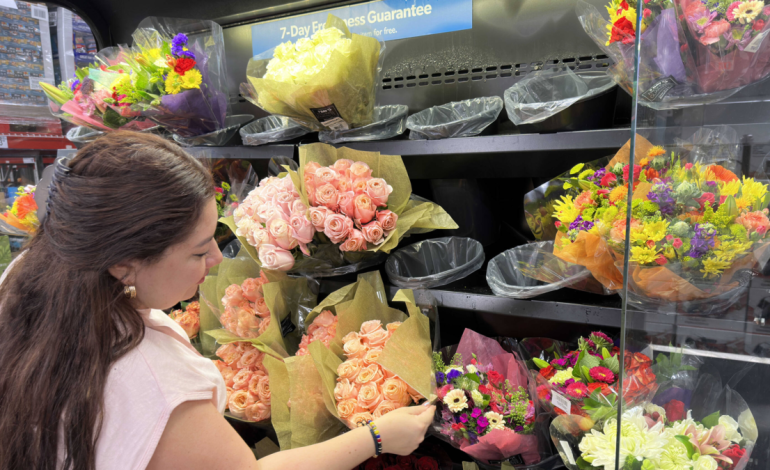  Las flores de Colombia siguen arrasando en Estados Unidos en medio de turbulencias por aranceles, caída del dólar y aumento del salario mínimo

 – Panorama 24