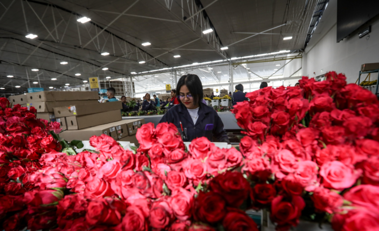  Comercio, experiencias y crédito impulsan una fecha que ya impulsa a los colombianos.

 – Panorama 24