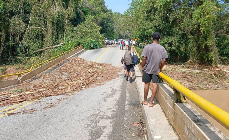  Las lluvias causan pérdidas por más de 130 millones de pesos diarios a bananeros

 – Panorama 24