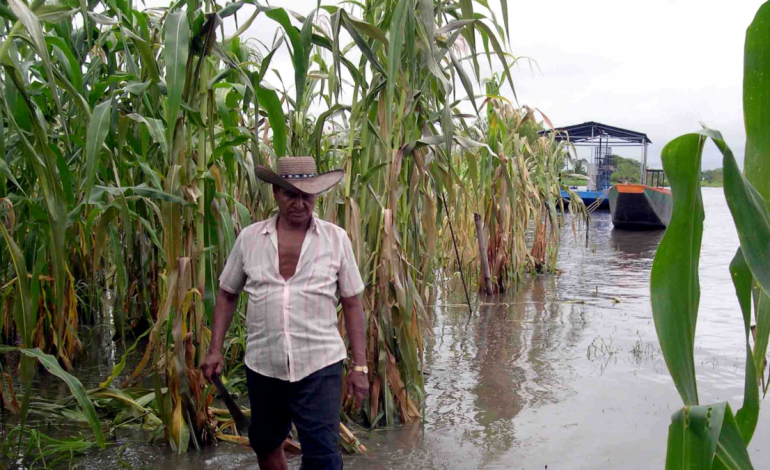  Lluvias afectan al sector agrícola de Colombia; Pérdidas millonarias y producción en peligro

 – Panorama 24