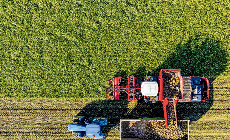  ¿Podrá el mundo alimentar a diez mil millones de personas?

 – Panorama 24