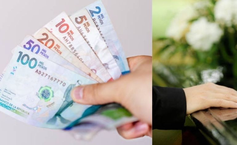  una guía completa sobre requisitos, montos aprobados y el plazo máximo para reclamar el beneficio

 – Panorama 24