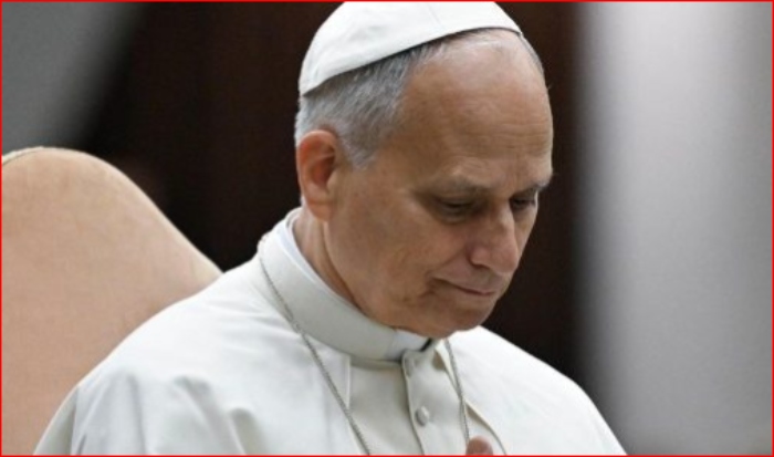  El Papa León XIV denunció la ciberesclavitud

 – Panorama 24