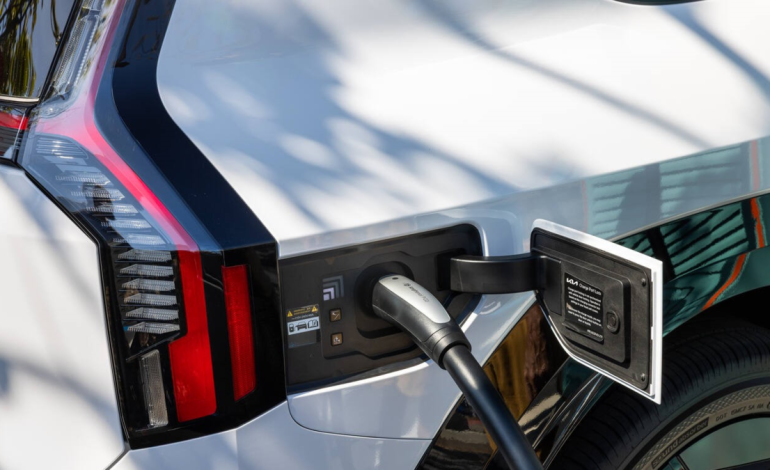  conoce las condiciones y cómo registrarte en Bogotá

 – Panorama 24