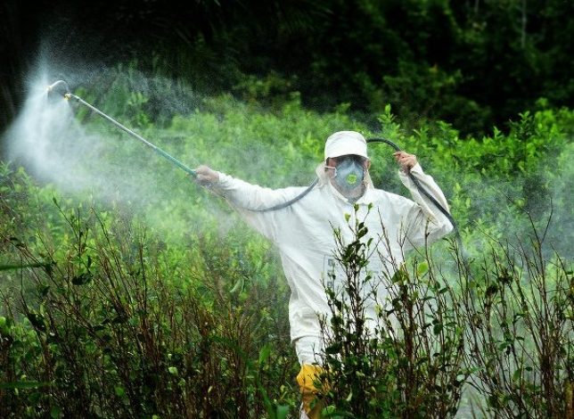  Glifosato, territorio y desconfianza: la tensión que explica la crisis en el Cauca – AUKA

 – Panorama 24