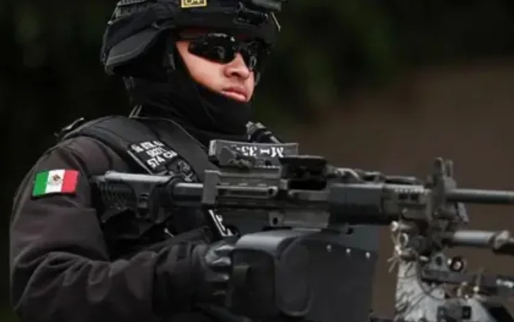  Mujeres del círculo cercano al Mencho: claves de las finanzas y la estrategia del cartel

 – Panorama 24