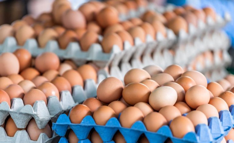  Ya comen 366 unidades por persona al año, según Fenavi

 – Panorama 24