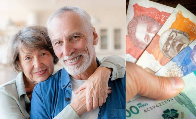  Requisitos y pasos para los contribuyentes.

 – Panorama 24